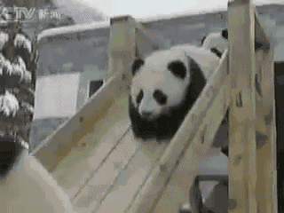 Slide Panda